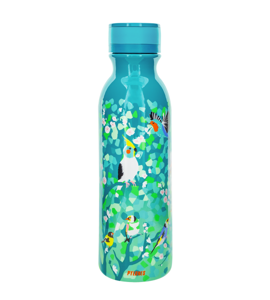 Sticla termica 600 ml - Sticla Mediu Keep Cool - Pasari
